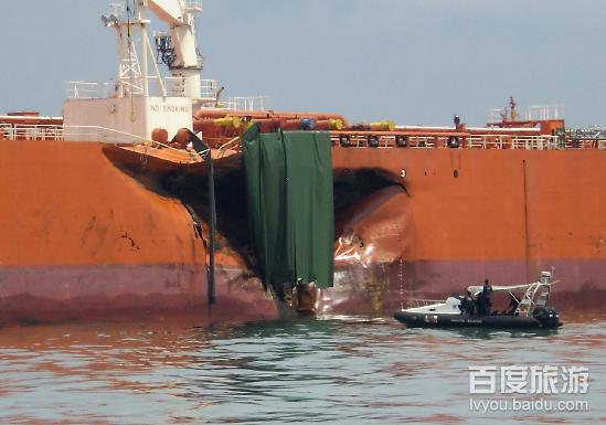 关于圣文森特和格林纳丁斯游泳选手勇夺金牌的信息