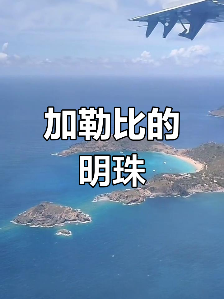 关于圣文森特和格林纳丁斯游泳选手勇夺金牌的信息