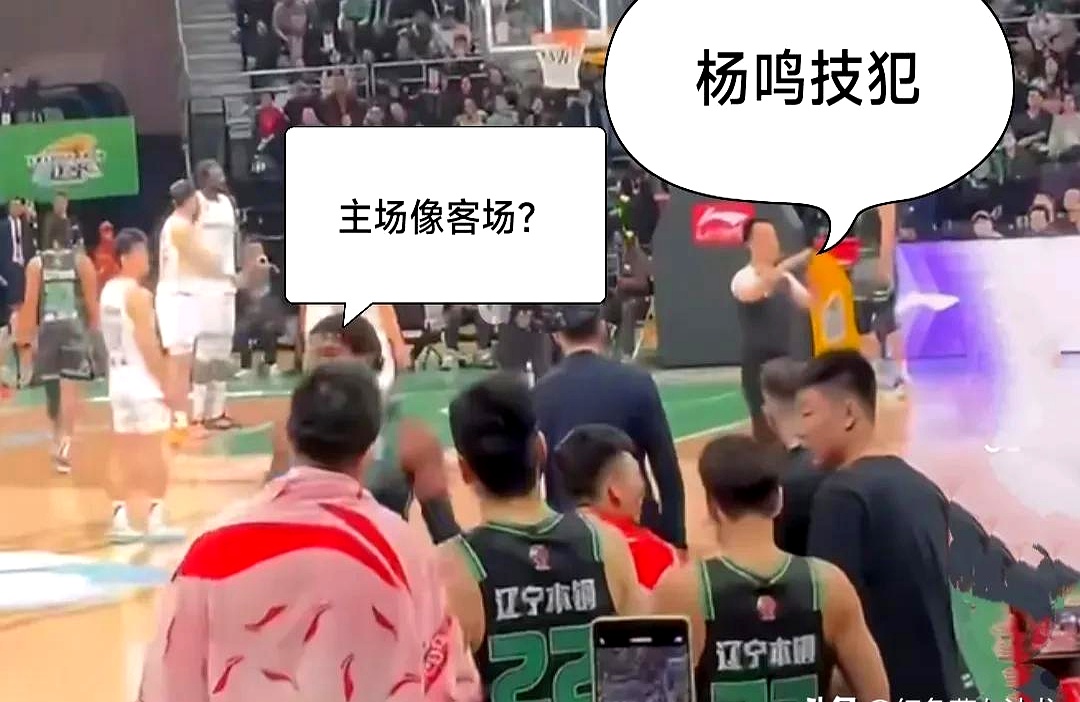 辽宁队在比赛中取得完美胜利