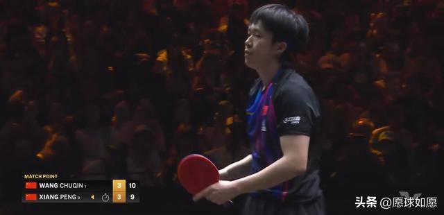 关于奥地利乒乓球队翻盘韩国乒乓球队，王皓爆发神勇的信息