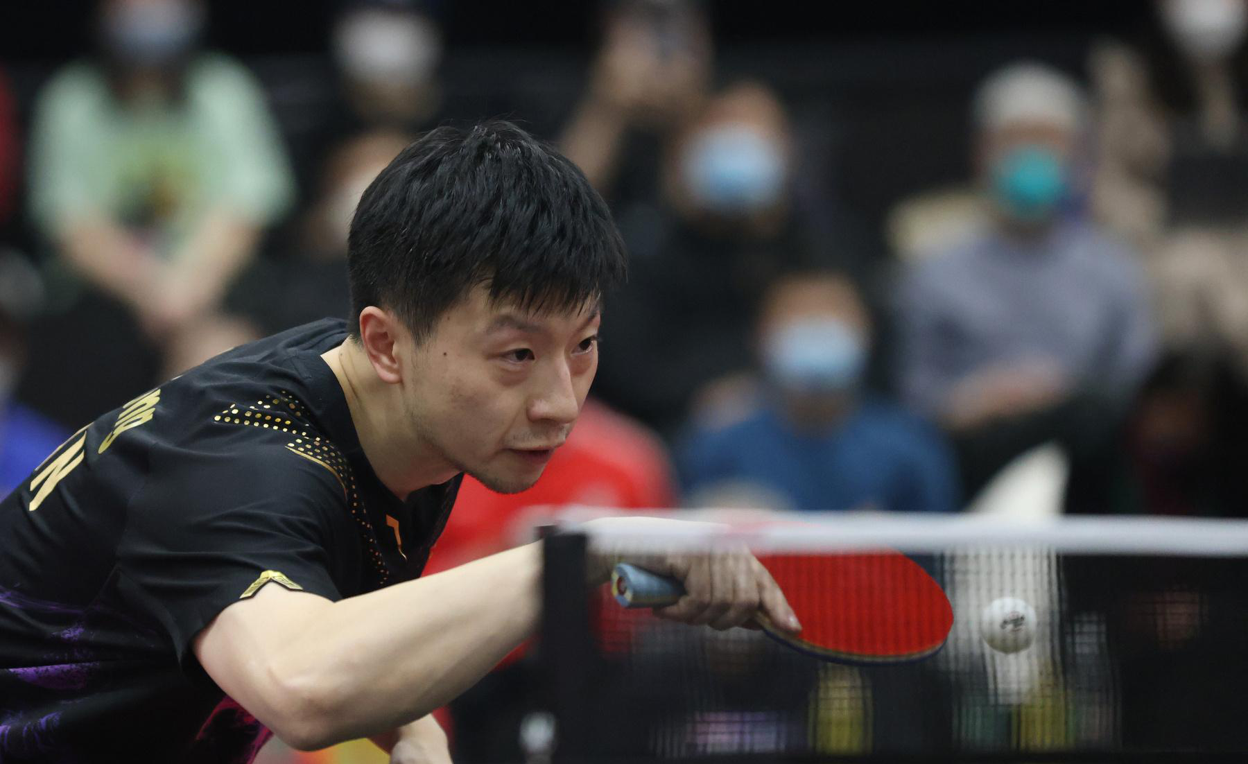 包含瑞典乒乓球队强势奥地利乒乓球队，马龙爆发神勇的词条