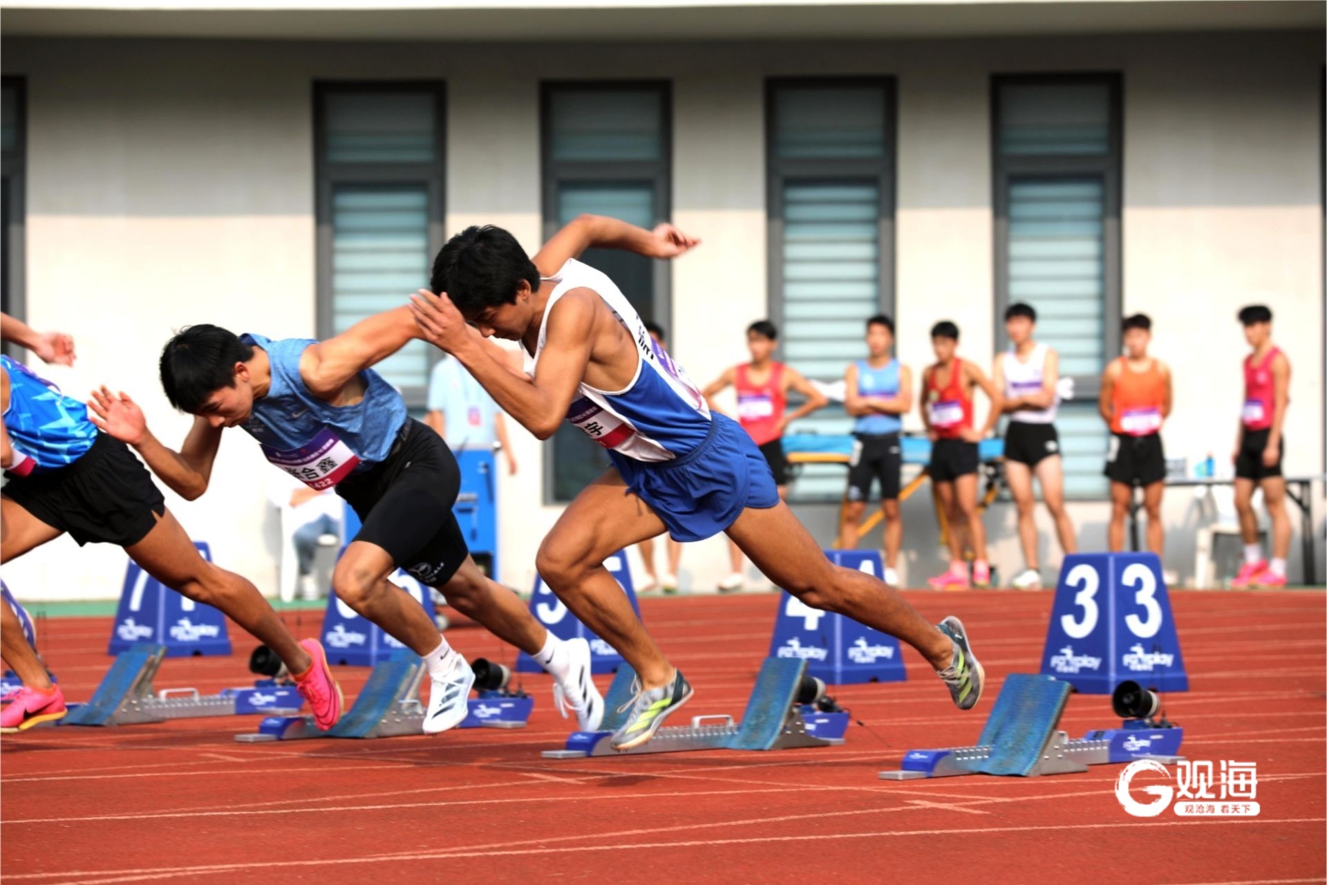 田径赛事精彩瞬间盘点，年度回顾震撼登场的简单介绍