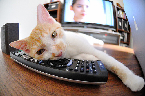 克莱·汤普森,在世界排名争夺战的夜晚,投出关键之箭