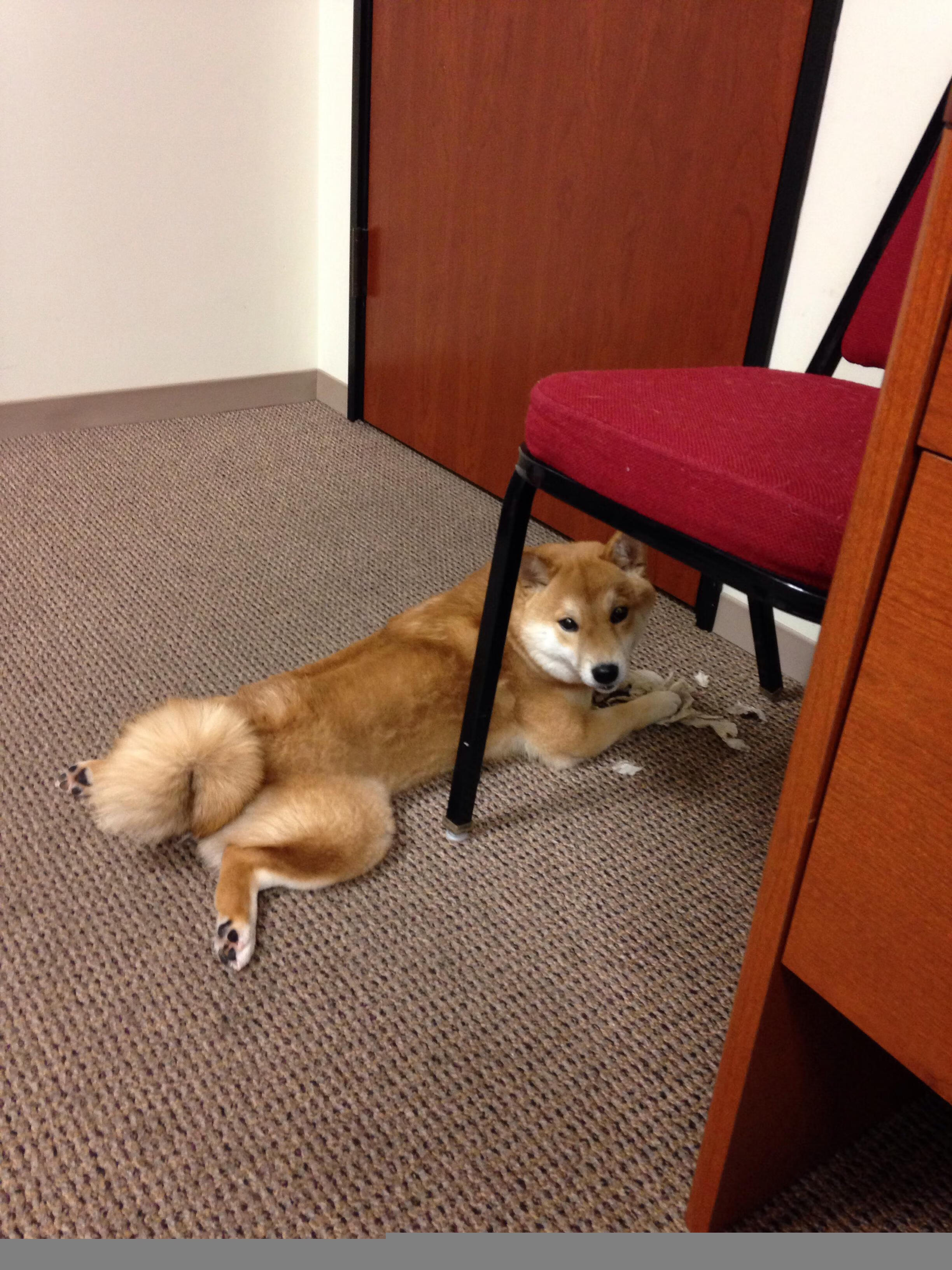 开云平台-沉默中爆发，努涅斯在美加墨的雨夜里完成终极证明