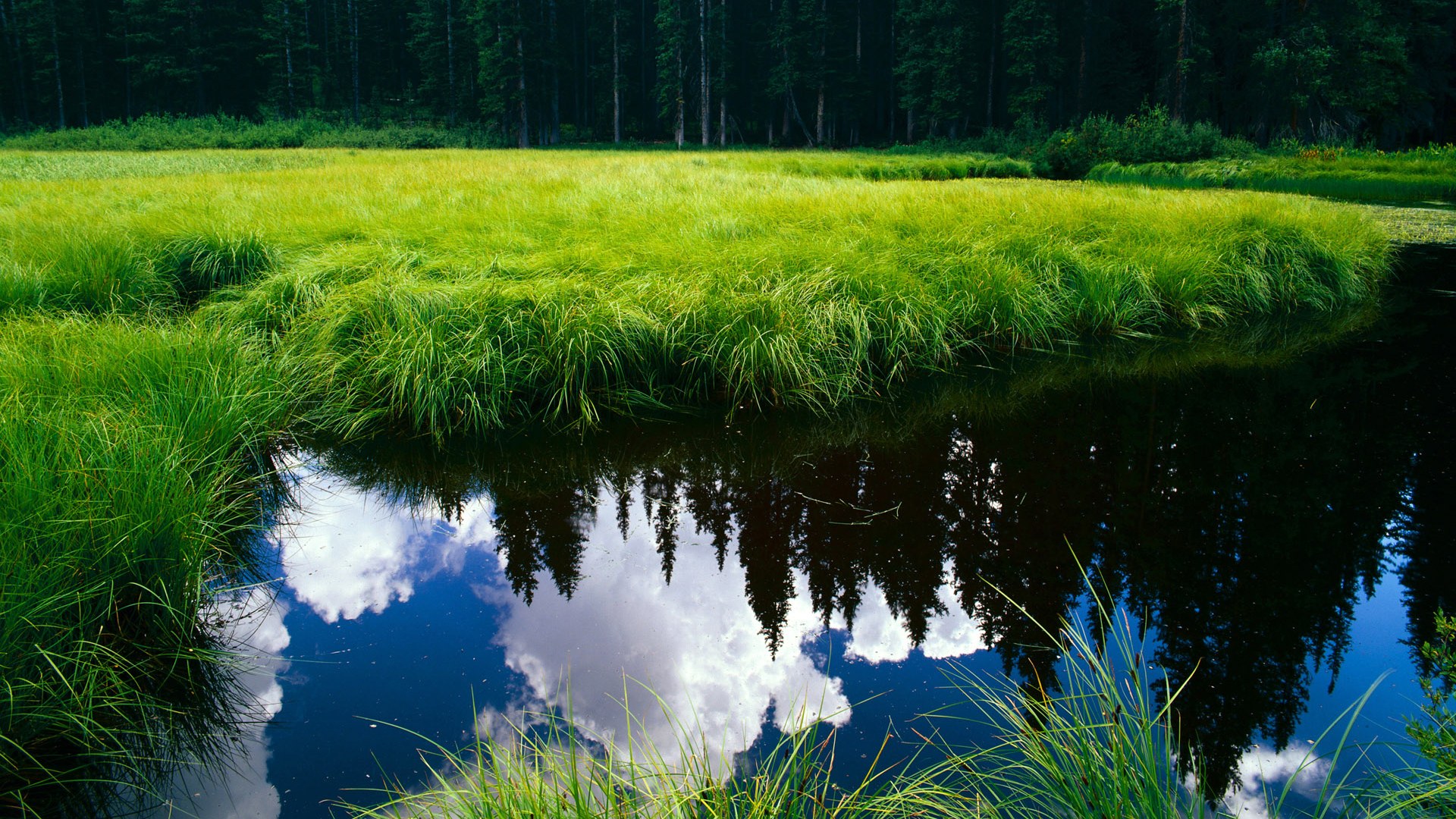 骑士压哨击败浙江队,西亚卡姆点燃赛场