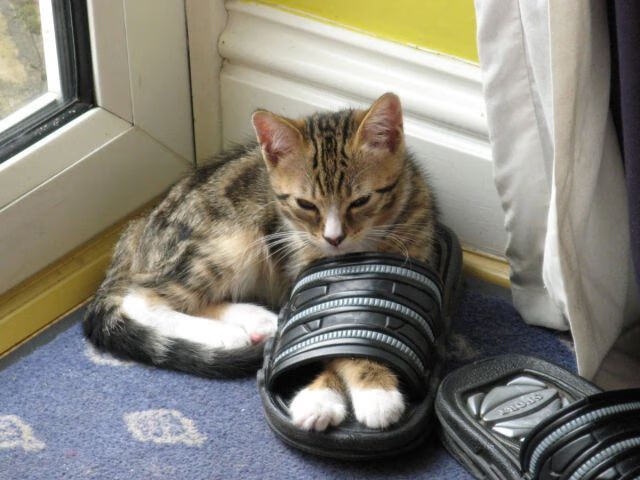 开云体育APP下载-末节之神降临！哈登独揽乾坤，热火显露冠军獠牙力克黄蜂