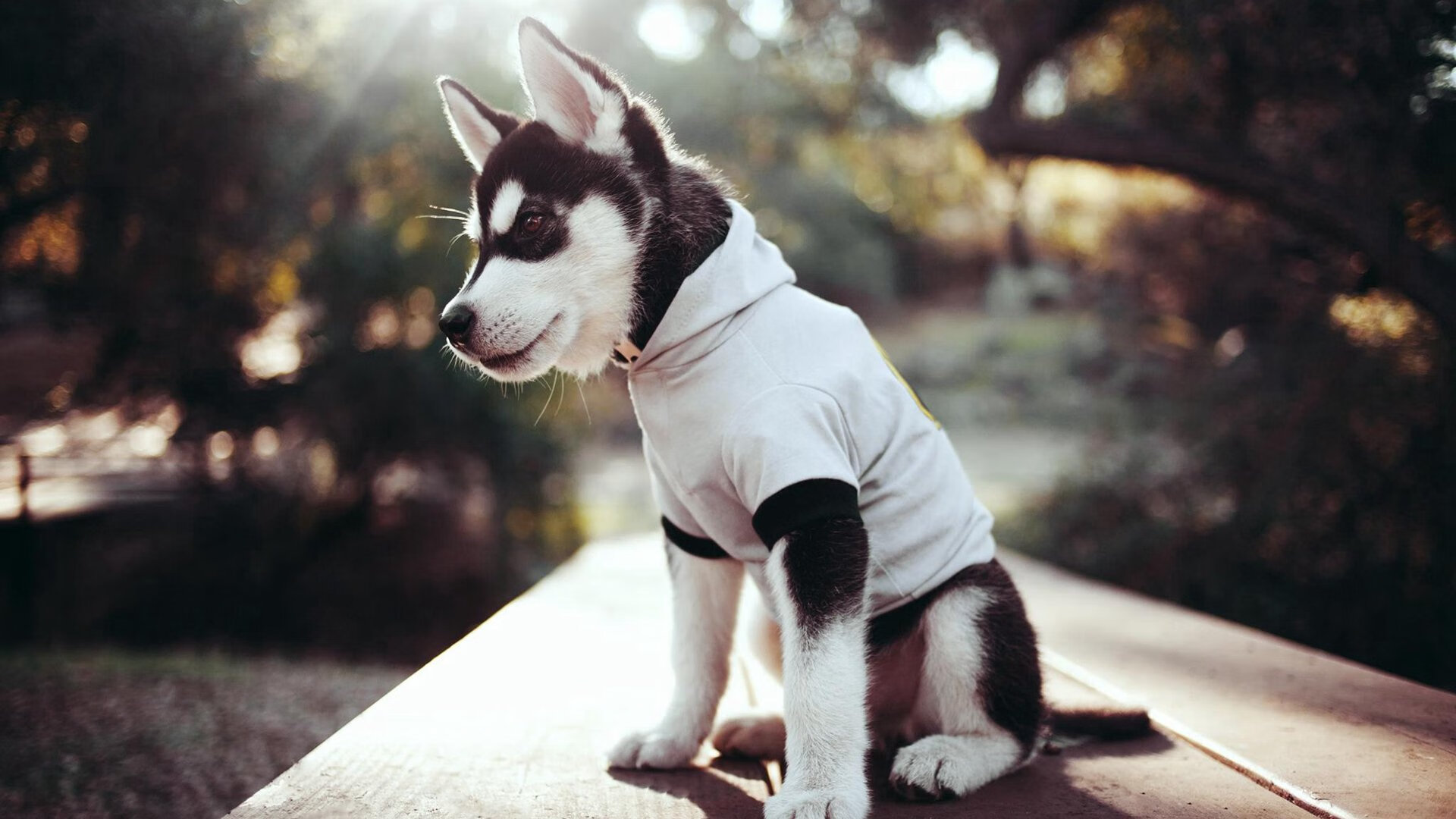 开云平台-罗德里一剑封喉！曼联生死战险胜中国球队，滕哈格找到新核心