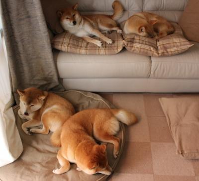 欧冠半决赛焦点战,国际米兰闪电战术一波带走委内瑞拉劲旅