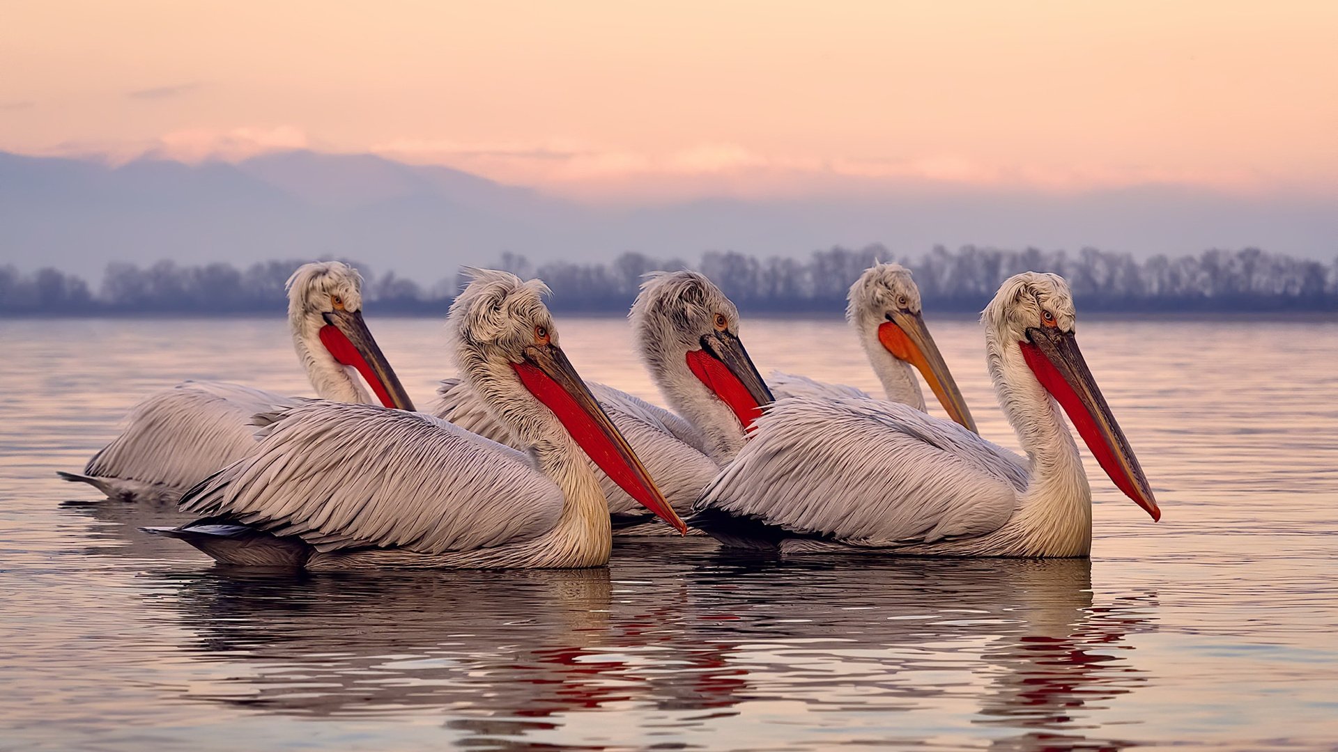 绿茵场上的锁与赛道上的钥匙，防守艺术的双重奏