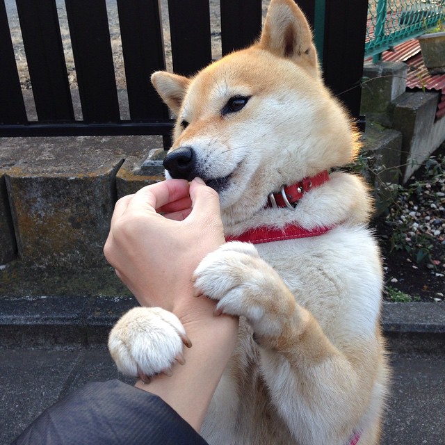 湖人对阵开拓者，克莱·汤普森的救赎之战