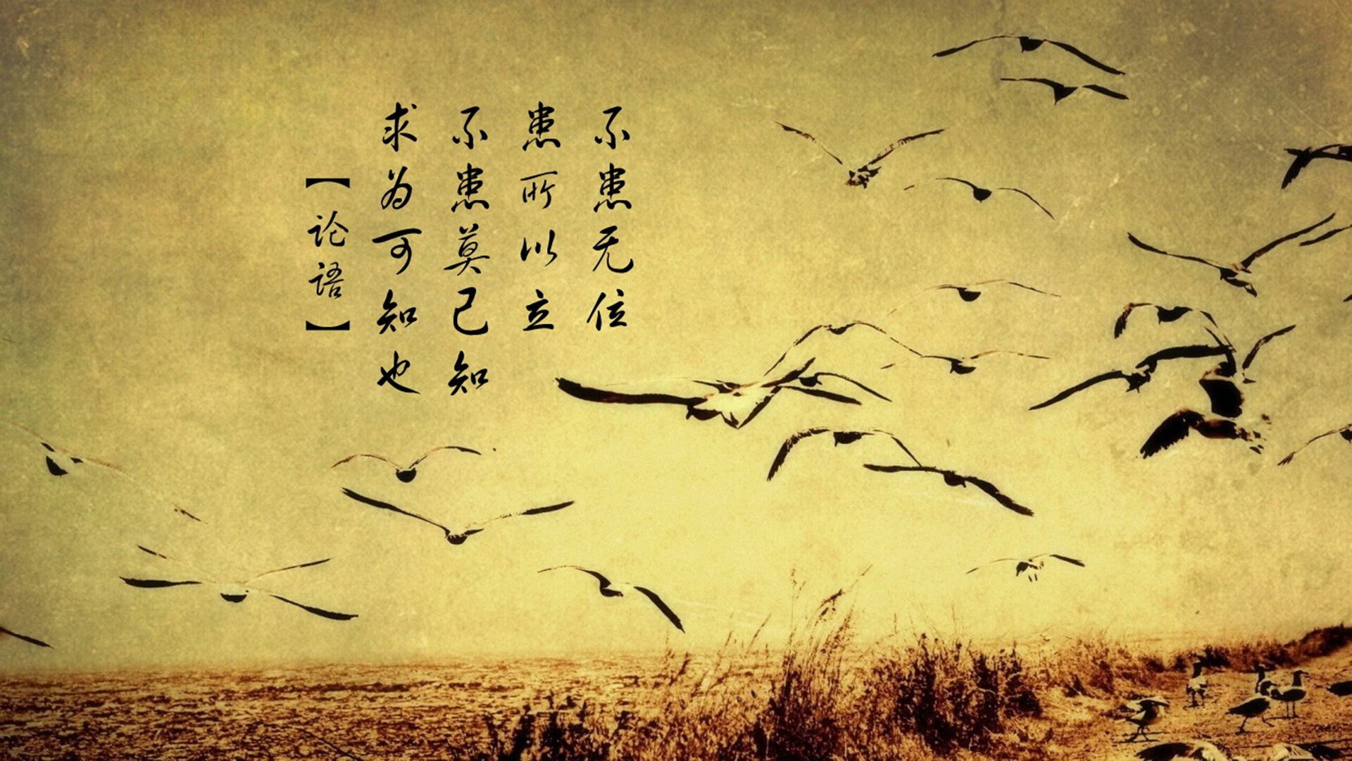 开云下载-2026世界杯之夜，锡安·威廉姆森的加冕之战