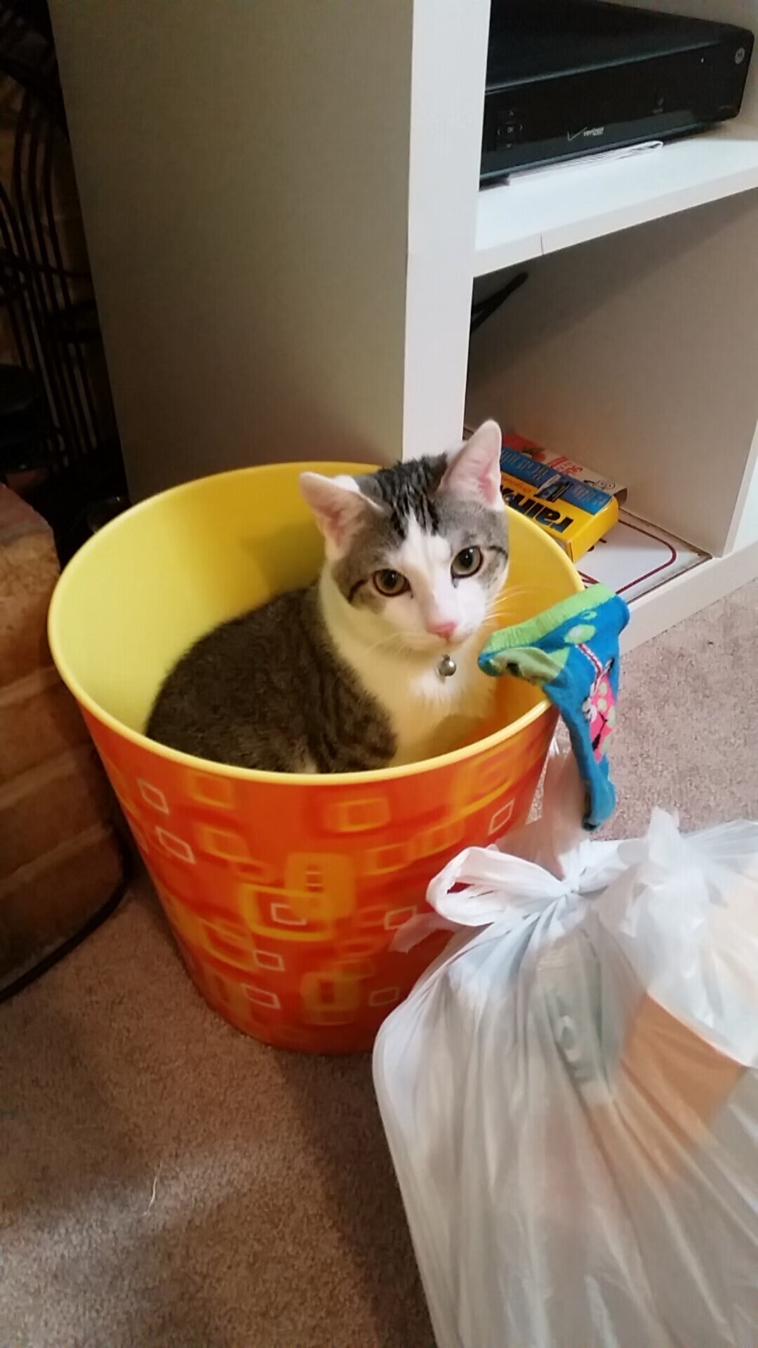 阿根廷对阵德国，拉亚对手完全无解之谜