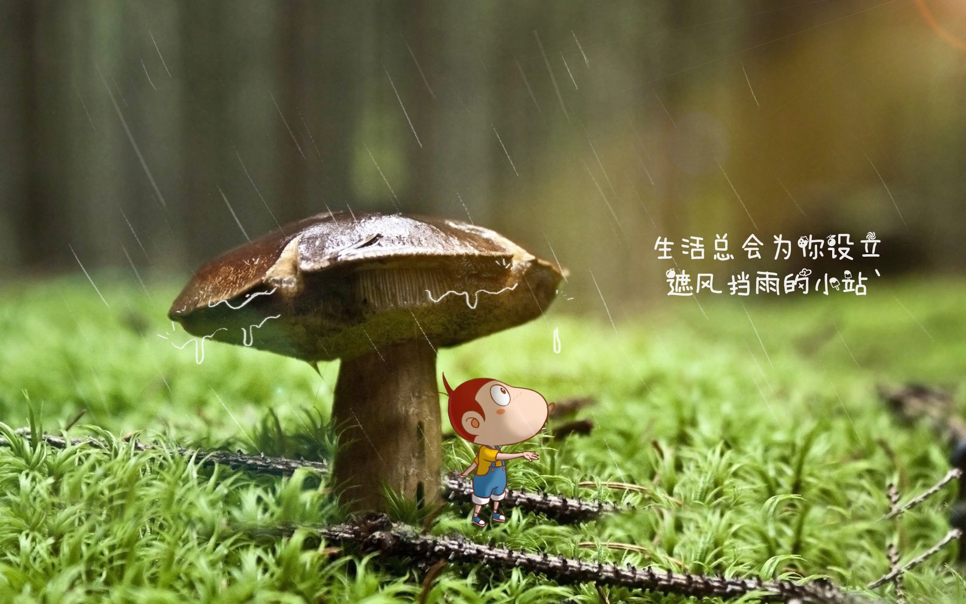 罗马尼亚之夏,莫德里奇的神话,波兰的叹息