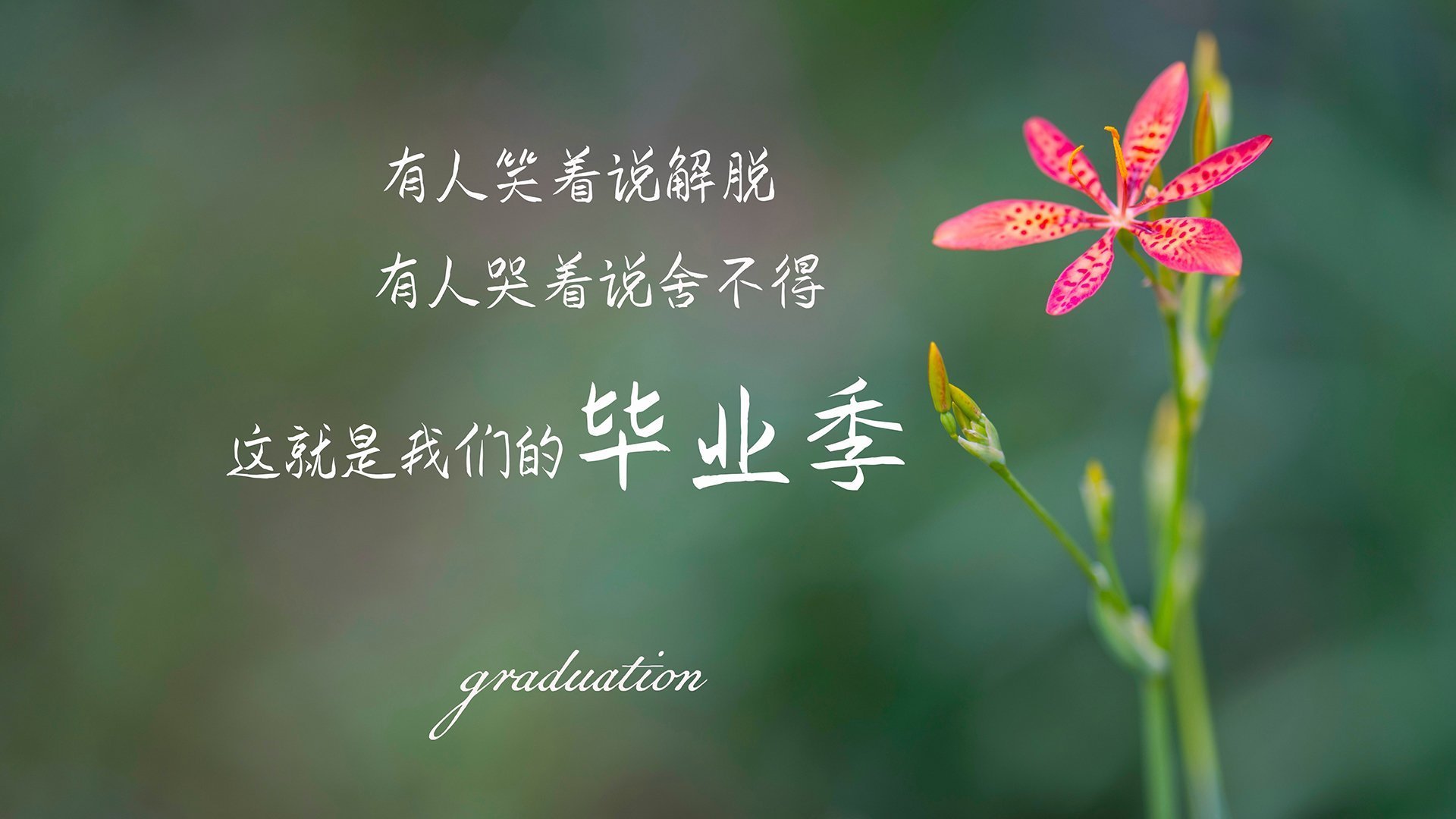 开云体育官方网站-北非铁骑踏破南亚雄风，2026世界杯G组突尼斯三球大胜越南，塔雷米独造三球闪耀全场